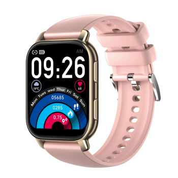 SwimAlert-P5S