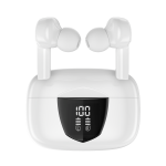 rs1_simg1