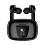 rs1_simg1